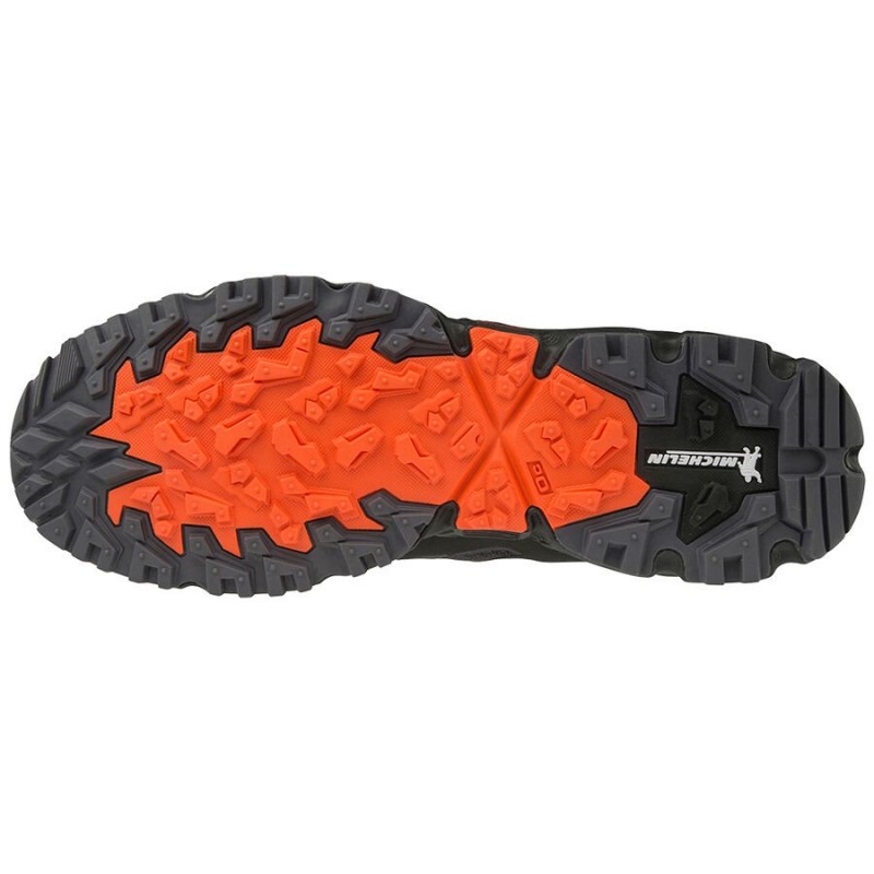 Daichi 5 gtx shop